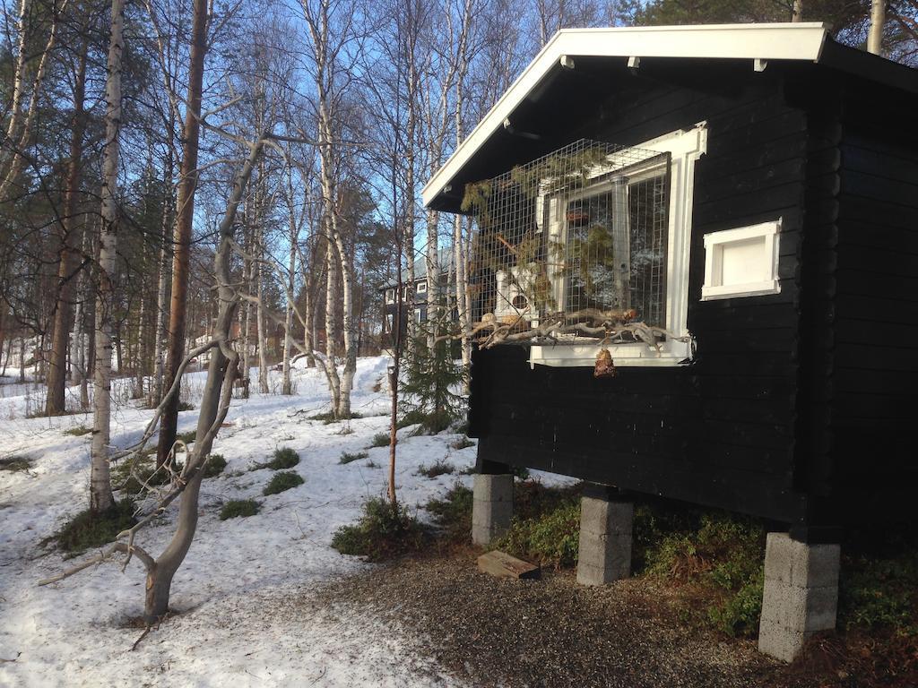 Svanvik Birk Bed & Birds Bed & Breakfast エクステリア 写真