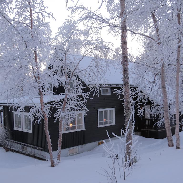Svanvik Birk Bed & Birds Bed & Breakfast エクステリア 写真