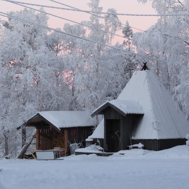 Svanvik Birk Bed & Birds Bed & Breakfast エクステリア 写真